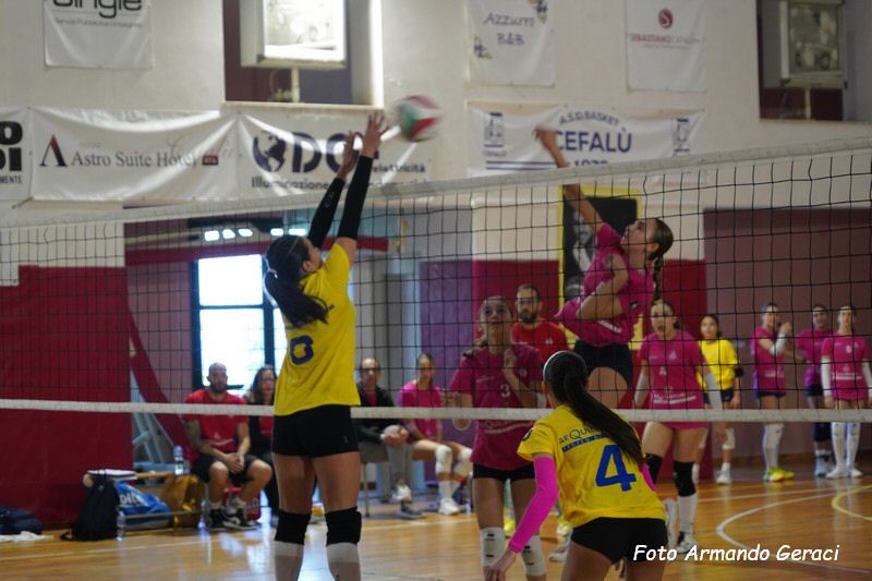 DSC02380_tn.jpg