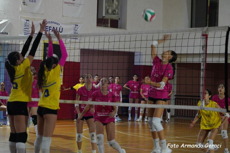 DSC02381_tn.jpg