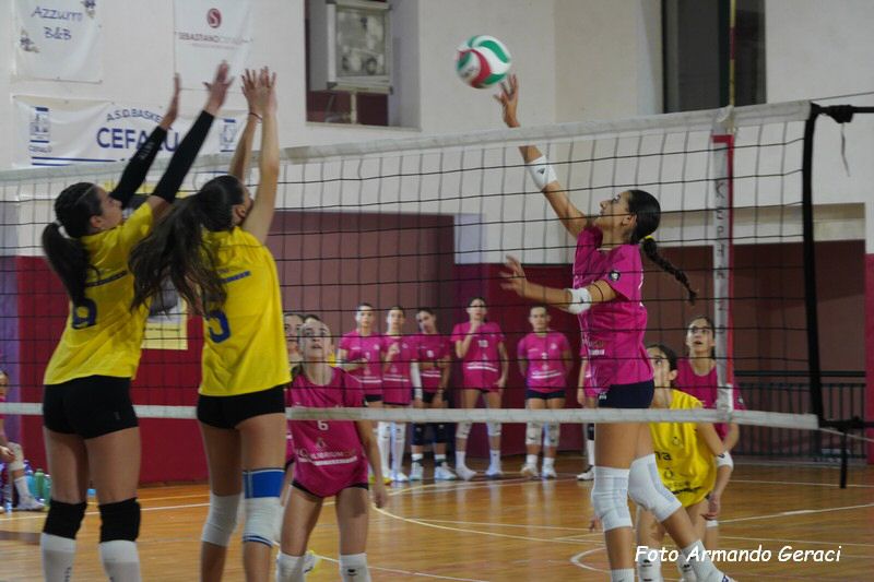 DSC02382_tn.jpg