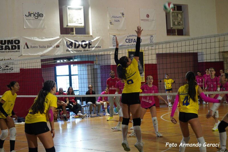 DSC02384_tn.jpg