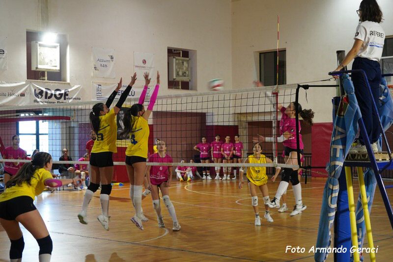 DSC02385_tn.jpg