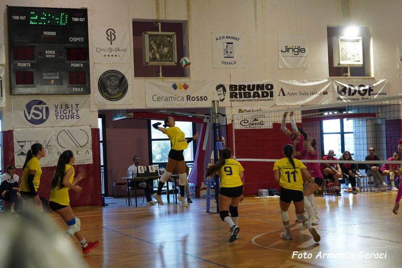 DSC02390_tn.jpg