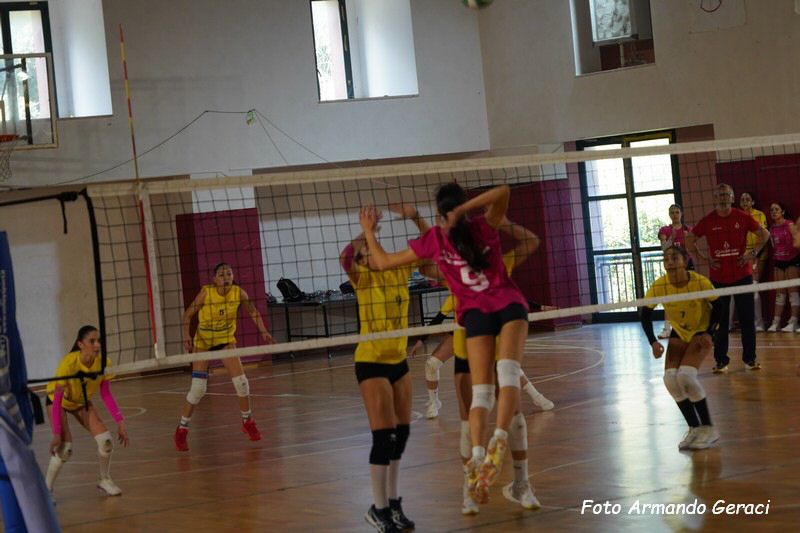 DSC02398_tn.jpg