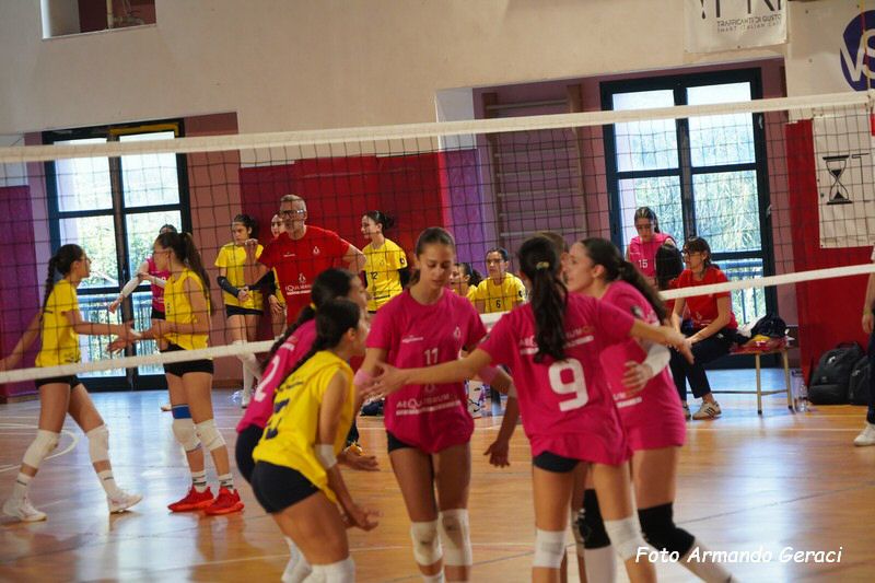 DSC02405_tn.jpg