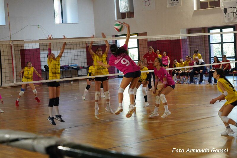 DSC02417_tn.jpg