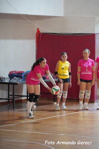 DSC02425_tn.jpg