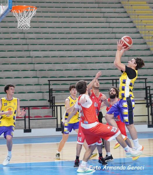 DSC01095y_tn.jpg
