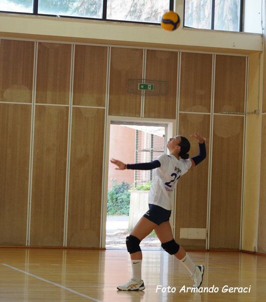 DSC00450y_tn.jpg