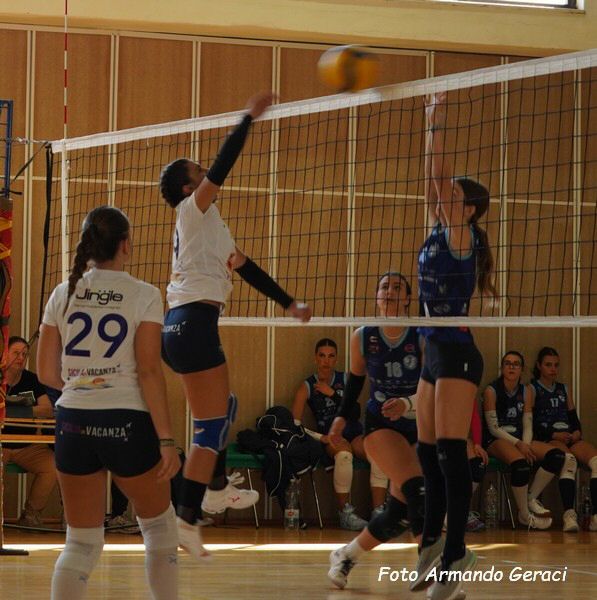 DSC00484y_tn.jpg