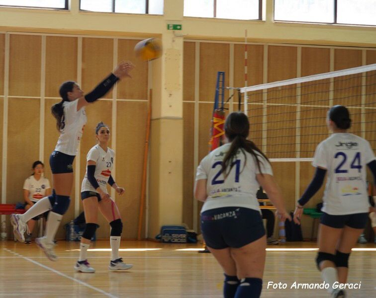 DSC00487y_tn.jpg