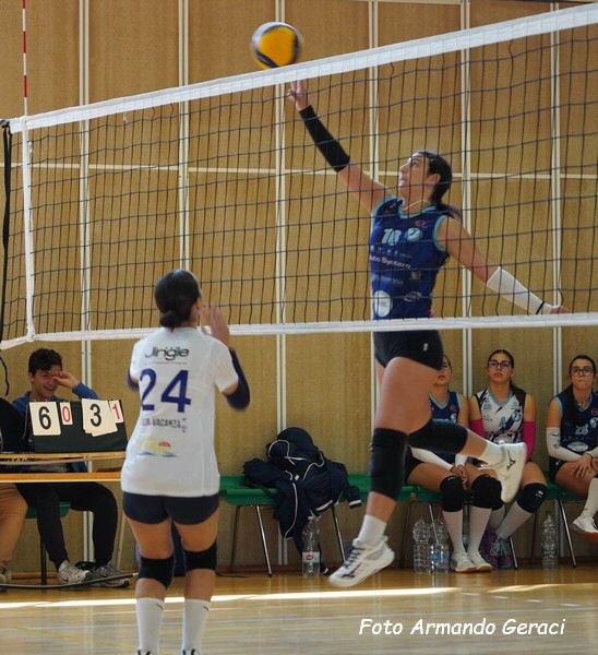 DSC00491y_tn.jpg