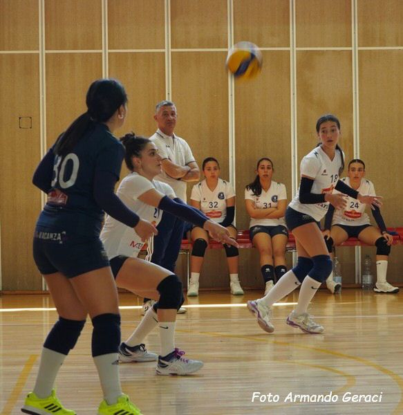 DSC00496y_tn.jpg