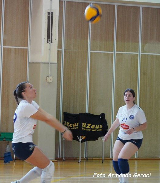 DSC00528y_tn.jpg