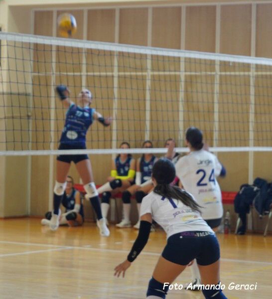 DSC00539y_tn.jpg