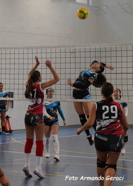 DSC00103y_tn.jpg
