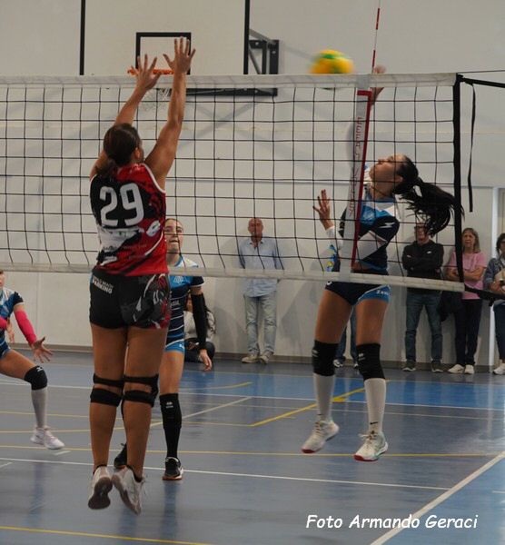 DSC00110y_tn.jpg