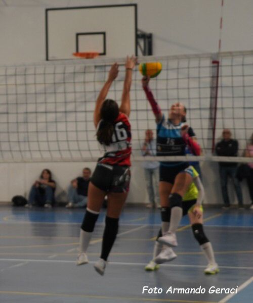DSC00129y_tn.jpg