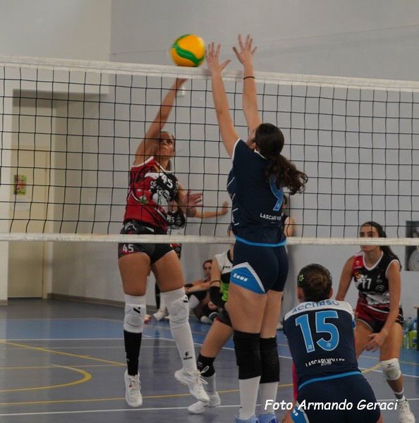 DSC00165y_tn.jpg