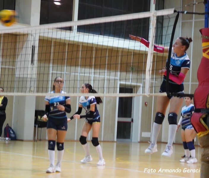 DSC00600y_tn.jpg