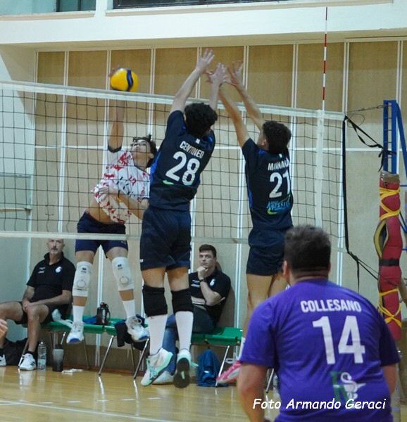 DSC00408y_tn.jpg