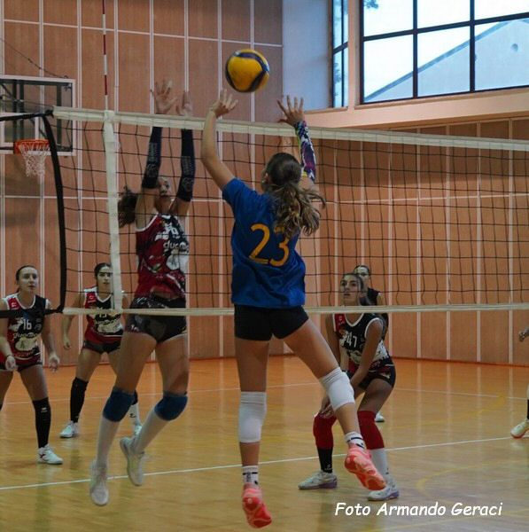 DSC00519y_tn.jpg