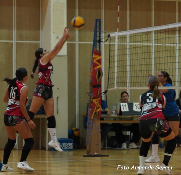 DSC00535y_tn.jpg