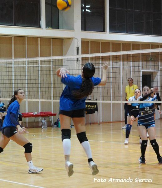 DSC00730y_tn.jpg